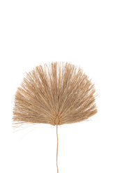 Tak Blad Gras Naturel